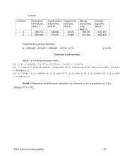 Hidroelektrinės projektas 19 puslapis