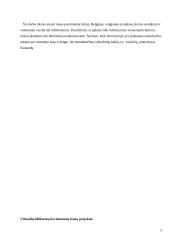 Projektai Belgijoje 3 puslapis