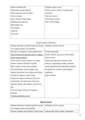 Terapinė slauga 11 puslapis