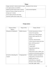 Terapinė slauga 13 puslapis