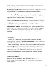 Terapinė slauga 5 puslapis