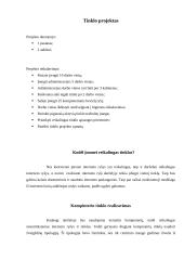 Tinklo projektas: vaikų darželis 2 puslapis