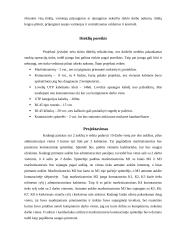 Tinklo projektas: vaikų darželis 3 puslapis