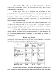 Tinklo projektas: vaikų darželis 4 puslapis