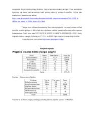 Tinklo projektas: vaikų darželis 5 puslapis
