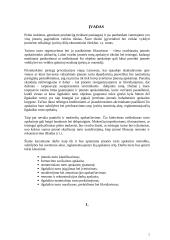 Įmonės ilgalaikio turto apskaita 2 puslapis