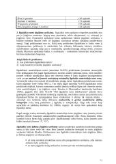 Įmonės ilgalaikio turto apskaita 13 puslapis