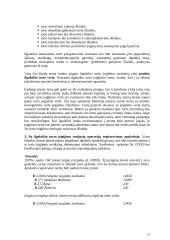 Įmonės ilgalaikio turto apskaita 14 puslapis