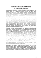 Įmonės ilgalaikio turto apskaita 3 puslapis