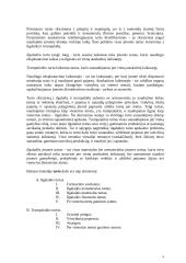 Įmonės ilgalaikio turto apskaita 4 puslapis