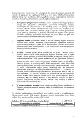 Įmonės ilgalaikio turto apskaita 10 puslapis