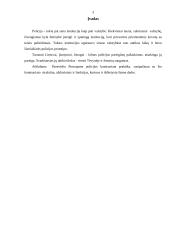 Mokomosios praktikos ataskaita: Panevėžio miesto pirmasis policijos komisariatas 3 puslapis