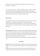 Pažintinės praktikos ataskaita: baldų gamyba UAB "Dalaudas" 10 puslapis