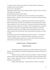 Pažintinės praktikos ataskaita: baldų gamyba UAB "Dalaudas" 11 puslapis