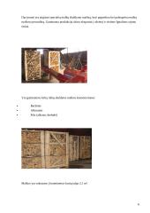 Pažintinės praktikos ataskaita: baldų gamyba UAB "Dalaudas" 4 puslapis