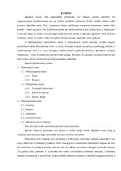 Ilgalaikio turto inventorizacija ir jos rezultatų apskaita prekybos įmonėse 3 puslapis