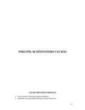 Technologinės praktikos ataskaita: medienos apdirbimo cechas UAB "Fornestas" 14 puslapis