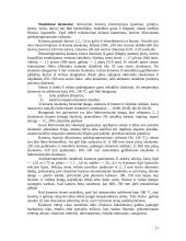 Technologinės praktikos ataskaita: medienos apdirbimo cechas UAB "Fornestas" 17 puslapis