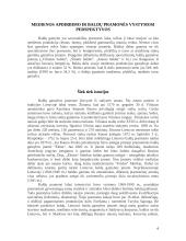 Technologinės praktikos ataskaita: medienos apdirbimo cechas UAB "Fornestas" 6 puslapis