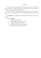 Įmonė. Veiklos formos ir tikslai 2 puslapis