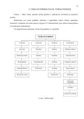 Įmonė. Veiklos formos ir tikslai 11 puslapis