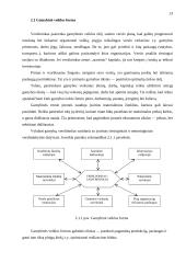Įmonė. Veiklos formos ir tikslai 12 puslapis