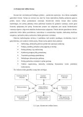 Įmonė. Veiklos formos ir tikslai 13 puslapis