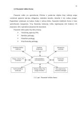 Įmonė. Veiklos formos ir tikslai 14 puslapis