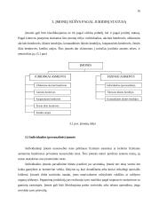 Įmonė. Veiklos formos ir tikslai 15 puslapis