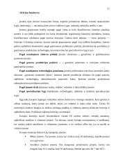 Įmonė. Veiklos formos ir tikslai 20 puslapis