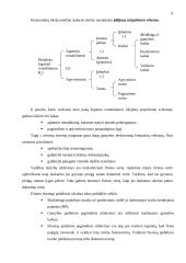Įmonė. Veiklos formos ir tikslai 8 puslapis