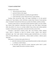 Įmonė. Veiklos formos ir tikslai 10 puslapis