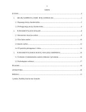 Įmonės akcijų kainas įtakojantys fundamentiniai veiksniai 2 puslapis