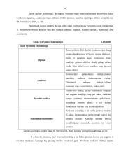 Įmonės akcijų kainas įtakojantys fundamentiniai veiksniai 11 puslapis