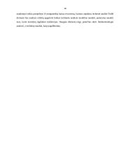 Įmonės akcijų kainas įtakojantys fundamentiniai veiksniai 18 puslapis