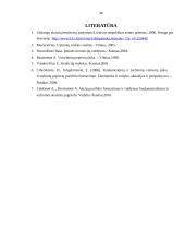 Įmonės akcijų kainas įtakojantys fundamentiniai veiksniai 20 puslapis