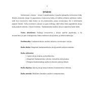 Įmonės akcijų kainas įtakojantys fundamentiniai veiksniai 4 puslapis