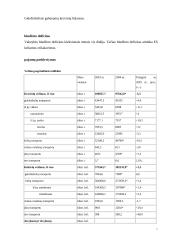 Įmonės analizė: AB "Lietuvos geležinkeliai" 11 puslapis