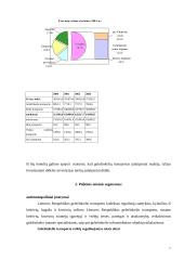 Įmonės analizė: AB "Lietuvos geležinkeliai" 13 puslapis