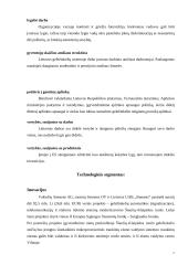 Įmonės analizė: AB "Lietuvos geležinkeliai" 15 puslapis