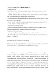 Įmonės analizė: AB "Lietuvos geležinkeliai" 17 puslapis