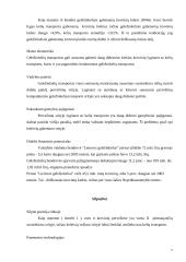 Įmonės analizė: AB "Lietuvos geležinkeliai" 20 puslapis