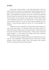 Įmonės analizė: AB "Lietuvos geležinkeliai" 3 puslapis