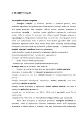 Įmonės analizė: AB "Lietuvos geležinkeliai" 4 puslapis