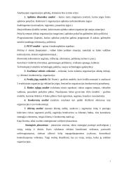 Įmonės analizė: AB "Lietuvos geležinkeliai" 6 puslapis