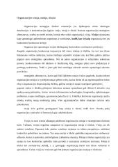 Įmonės analizė: AB "Lietuvos geležinkeliai" 7 puslapis
