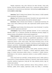 Įmonės analizė: AB "Lietuvos geležinkeliai" 8 puslapis