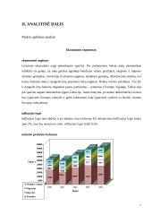 Įmonės analizė: AB "Lietuvos geležinkeliai" 10 puslapis