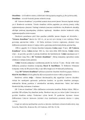 Įmonės analizė: draudimo paslaugos AB "Lietuvos draudimas" 2 puslapis