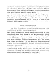 Įmonės analizė: draudimo paslaugos AB "Lietuvos draudimas" 13 puslapis